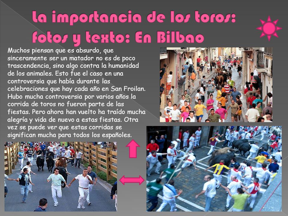 La importancia de los toros: fotos y texto: En Bilbao