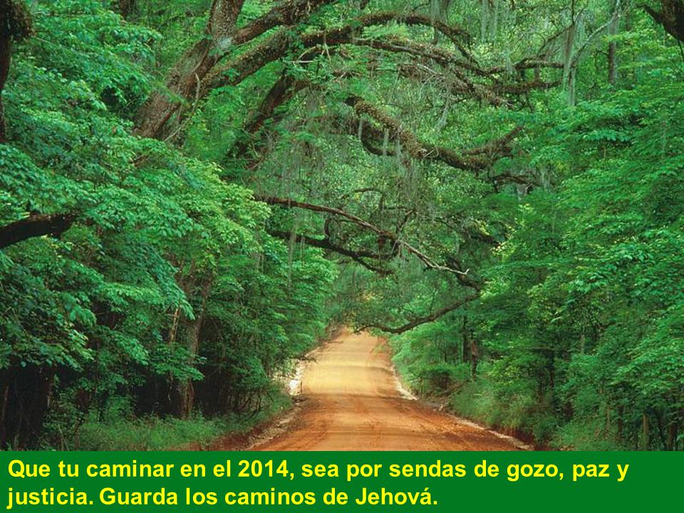 Que tu caminar en el 2014, sea por sendas de gozo, paz y justicia