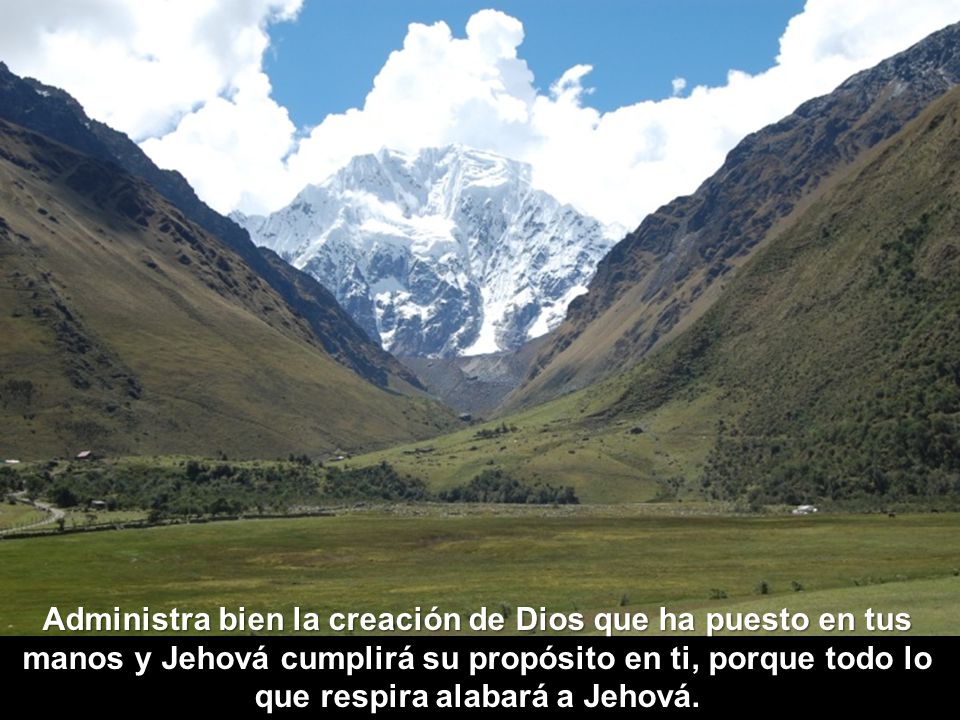 Administra bien la creación de Dios que ha puesto en tus manos y Jehová cumplirá su propósito en ti, porque todo lo que respira alabará a Jehová.