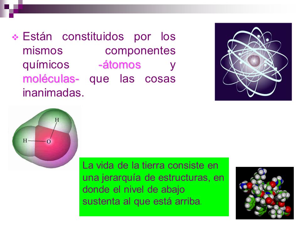 Están constituidos por los mismos componentes químicos -átomos y moléculas- que las cosas inanimadas.