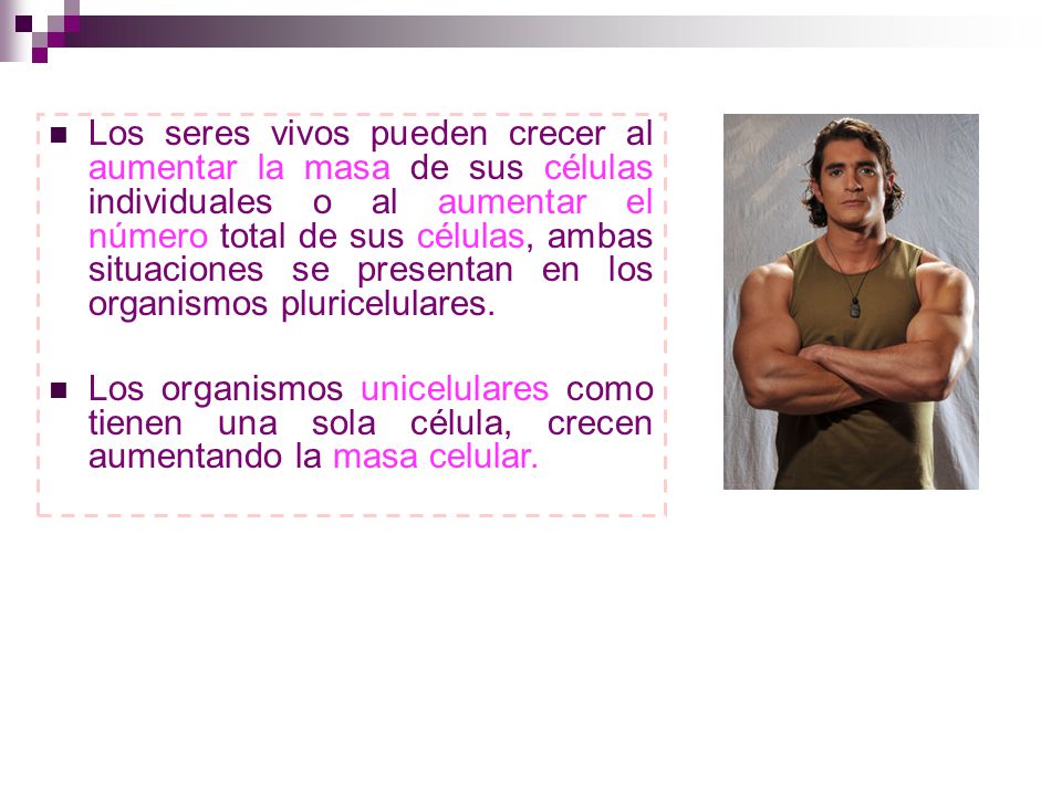 Los seres vivos pueden crecer al aumentar la masa de sus células individuales o al aumentar el número total de sus células, ambas situaciones se presentan en los organismos pluricelulares.