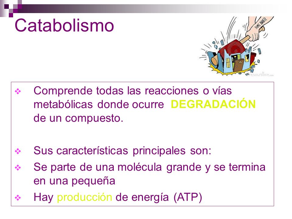 Catabolismo Comprende todas las reacciones o vías metabólicas donde ocurre DEGRADACIÓN de un compuesto.