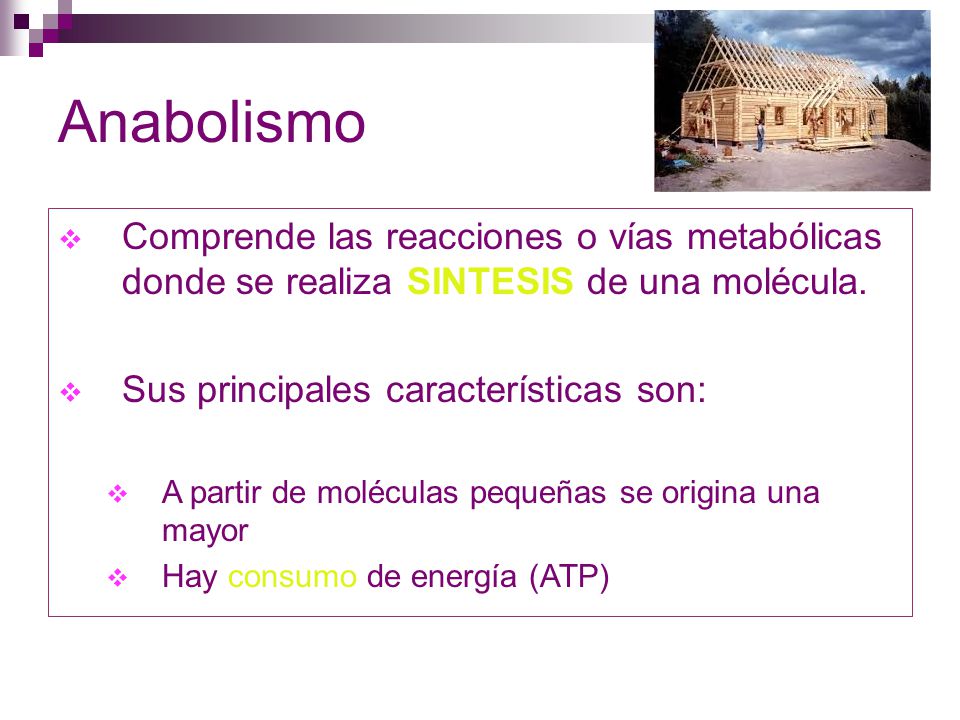 Anabolismo Comprende las reacciones o vías metabólicas donde se realiza SINTESIS de una molécula. Sus principales características son: