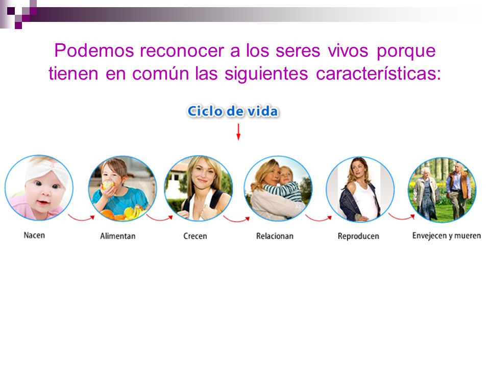 Podemos reconocer a los seres vivos porque tienen en común las siguientes características: