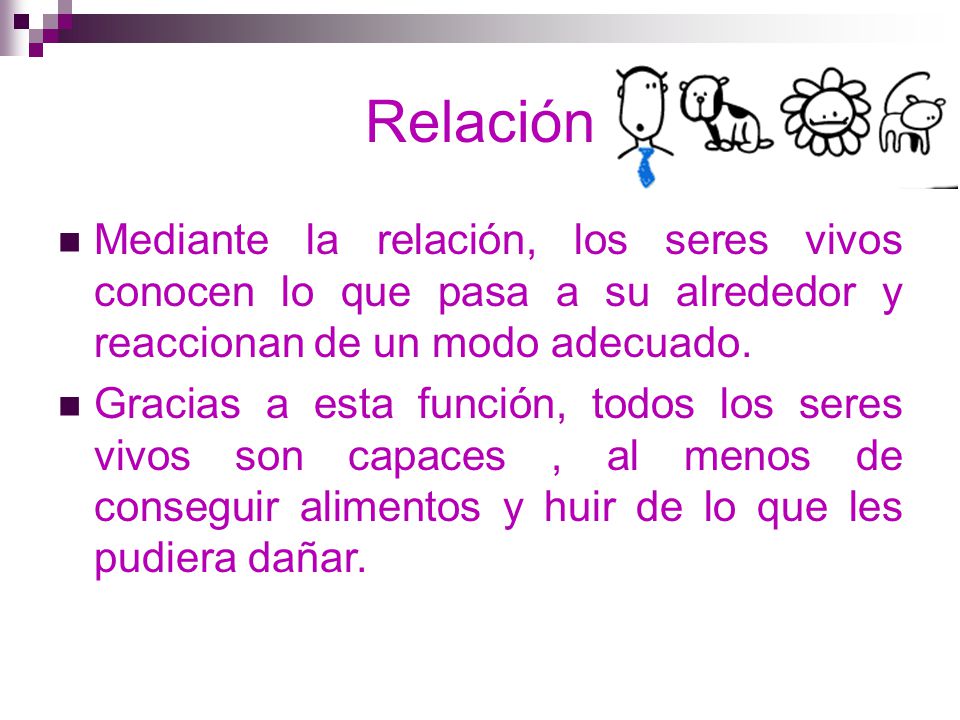 Relación Mediante la relación, los seres vivos conocen lo que pasa a su alrededor y reaccionan de un modo adecuado.