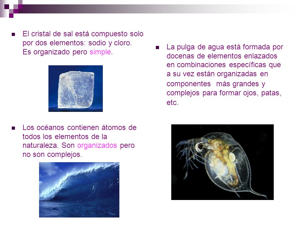 El cristal de sal está compuesto solo por dos elementos: sodio y cloro