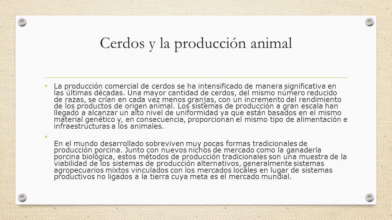 Cerdos y la producción animal