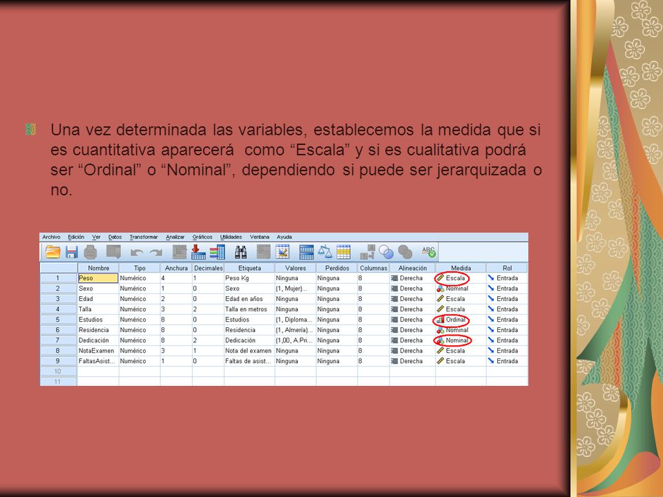 Una vez determinada las variables, establecemos la medida que si es cuantitativa aparecerá como Escala y si es cualitativa podrá ser Ordinal o Nominal , dependiendo si puede ser jerarquizada o no.