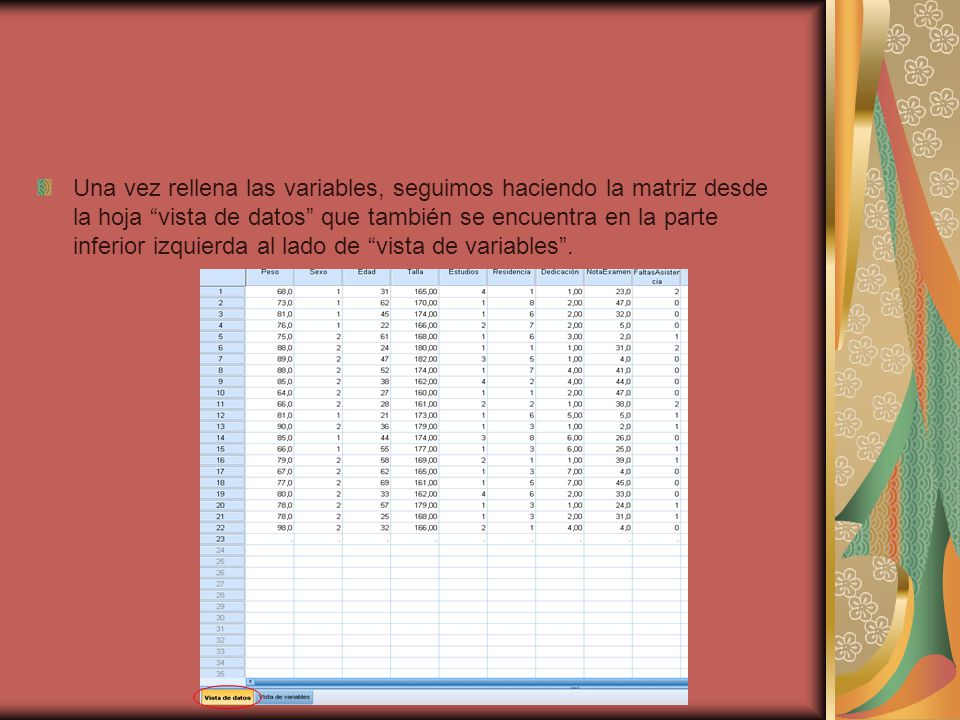 Una vez rellena las variables, seguimos haciendo la matriz desde la hoja vista de datos que también se encuentra en la parte inferior izquierda al lado de vista de variables .