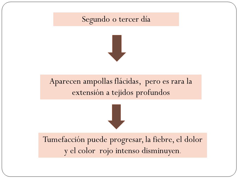 Segundo o tercer día Aparecen ampollas flácidas, pero es rara la extensión a tejidos profundos.