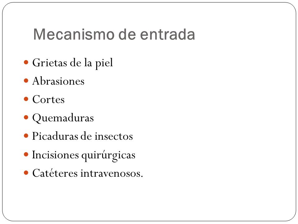 Mecanismo de entrada Grietas de la piel Abrasiones Cortes Quemaduras