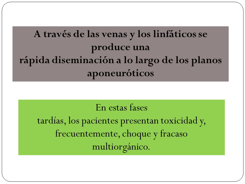 A través de las venas y los linfáticos se produce una
