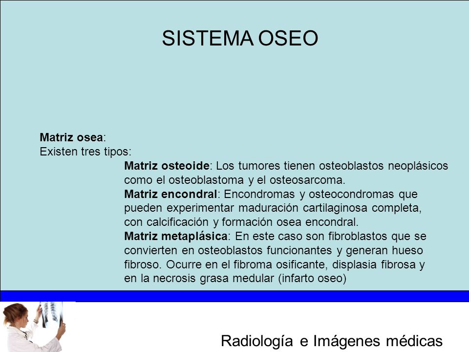 SISTEMA OSEO Matriz osea: Existen tres tipos: