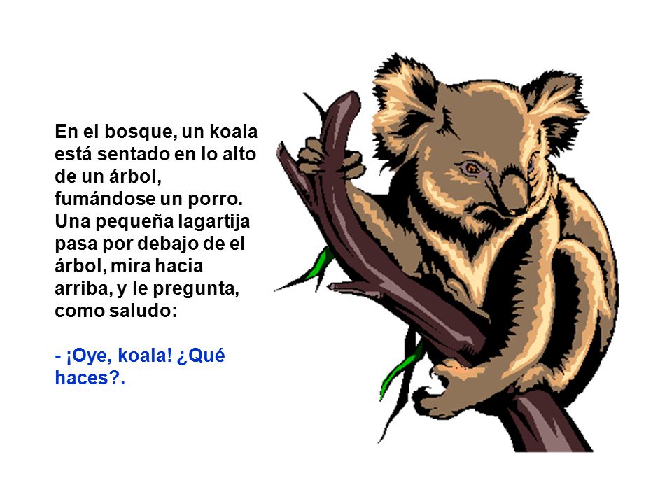 En el bosque, un koala está sentado en lo alto de un árbol, fumándose un porro. Una pequeña lagartija pasa por debajo de el árbol, mira hacia arriba, y le pregunta, como saludo: