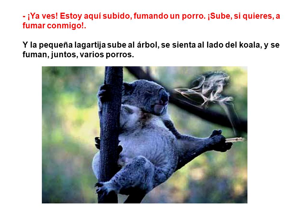 - ¡Ya ves. Estoy aquí subido, fumando un porro