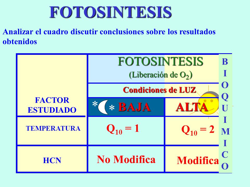FOTOSINTESIS * FOTOSINTESIS BAJA ALTA Q10 = 1 Q10 = 2 No Modifica