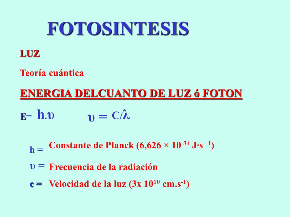 FOTOSINTESIS h.υ υ = ENERGIA DELCUANTO DE LUZ ó FOTON C/λ υ = LUZ
