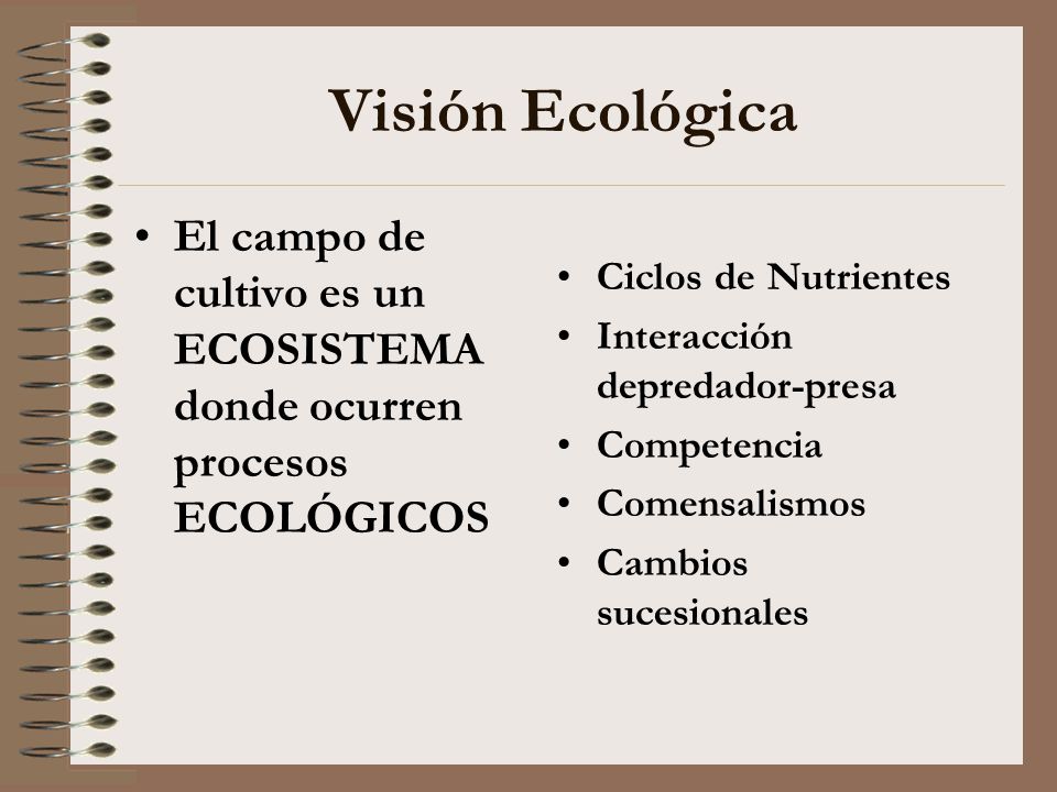 Visión Ecológica El campo de cultivo es un ECOSISTEMA donde ocurren procesos ECOLÓGICOS. Ciclos de Nutrientes.