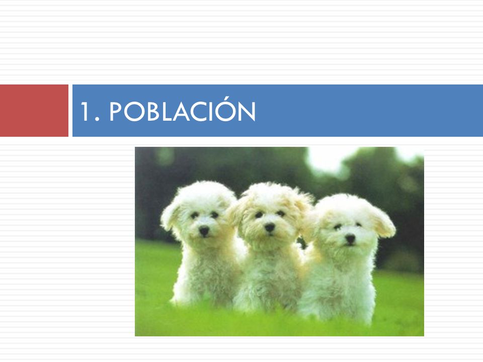 1. POBLACIÓN