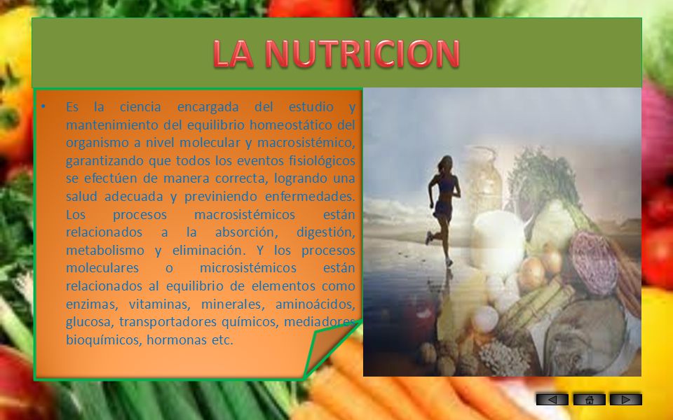 LA NUTRICION