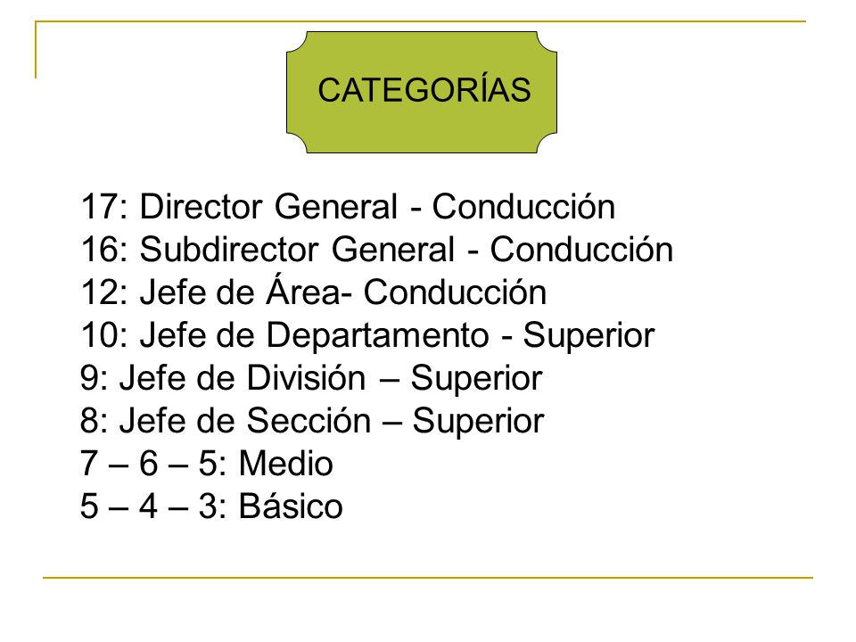 17: Director General - Conducción 16: Subdirector General - Conducción