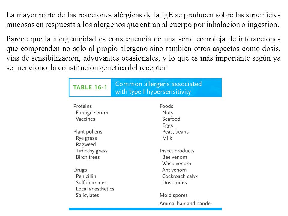 La mayor parte de las reacciones alérgicas de la IgE se producen sobre las superficies mucosas en respuesta a los alergenos que entran al cuerpo por inhalación o ingestión.