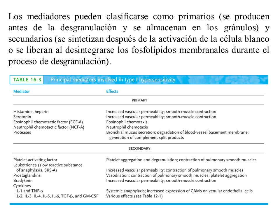 Los mediadores pueden clasificarse como primarios (se producen antes de la desgranulación y se almacenan en los gránulos) y secundarios (se sintetizan después de la activación de la célula blanco o se liberan al desintegrarse los fosfolípidos membranales durante el proceso de desgranulación).