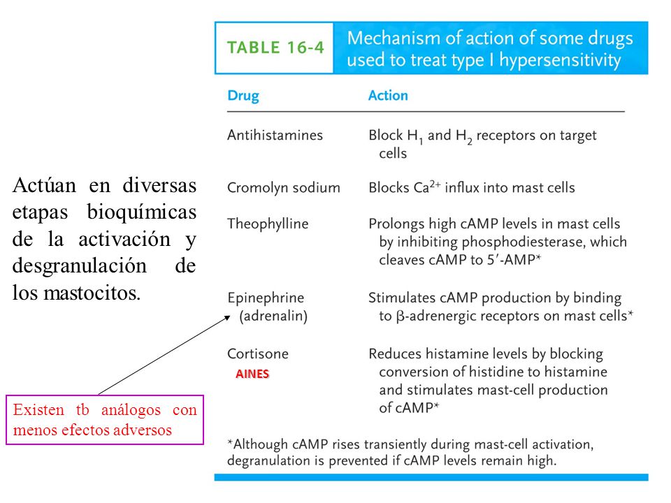 Actúan en diversas etapas bioquímicas de la activación y desgranulación de los mastocitos.
