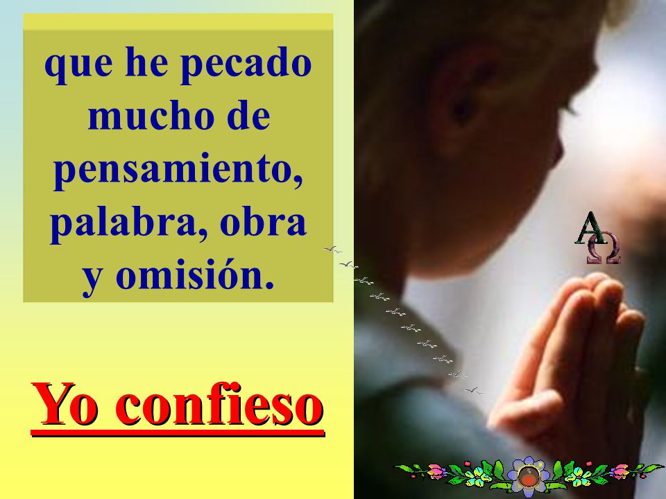 que he pecado mucho de pensamiento, palabra, obra y omisión.