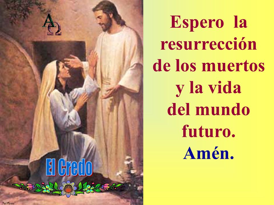 Espero la resurrección de los muertos y la vida del mundo futuro. Amén.
