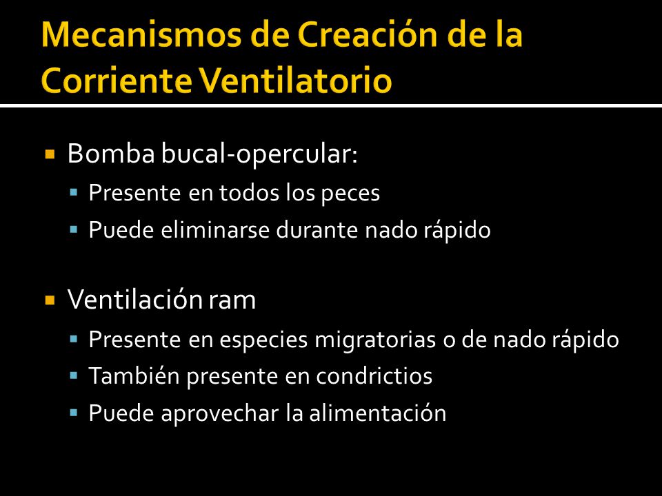 Mecanismos de Creación de la Corriente Ventilatorio