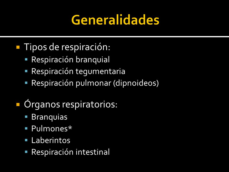 Generalidades Tipos de respiración: Órganos respiratorios: