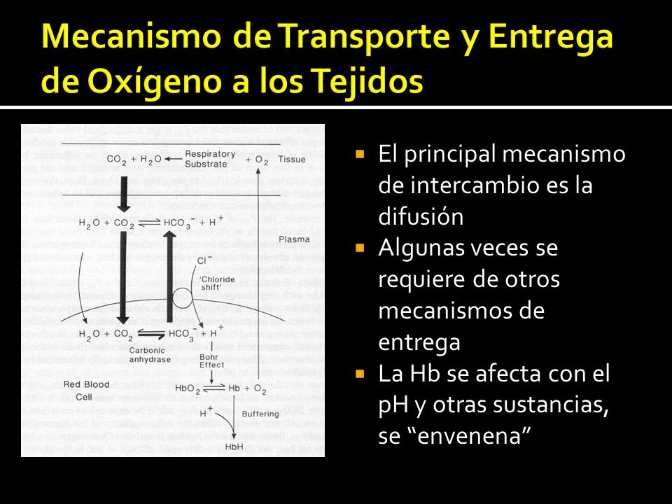 Mecanismo de Transporte y Entrega de Oxígeno a los Tejidos