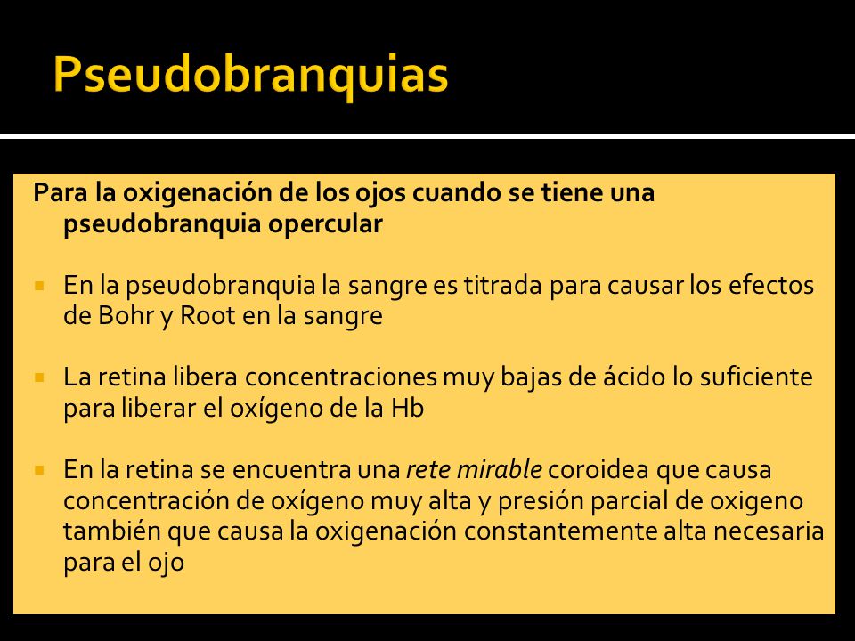Pseudobranquias Para la oxigenación de los ojos cuando se tiene una pseudobranquia opercular.
