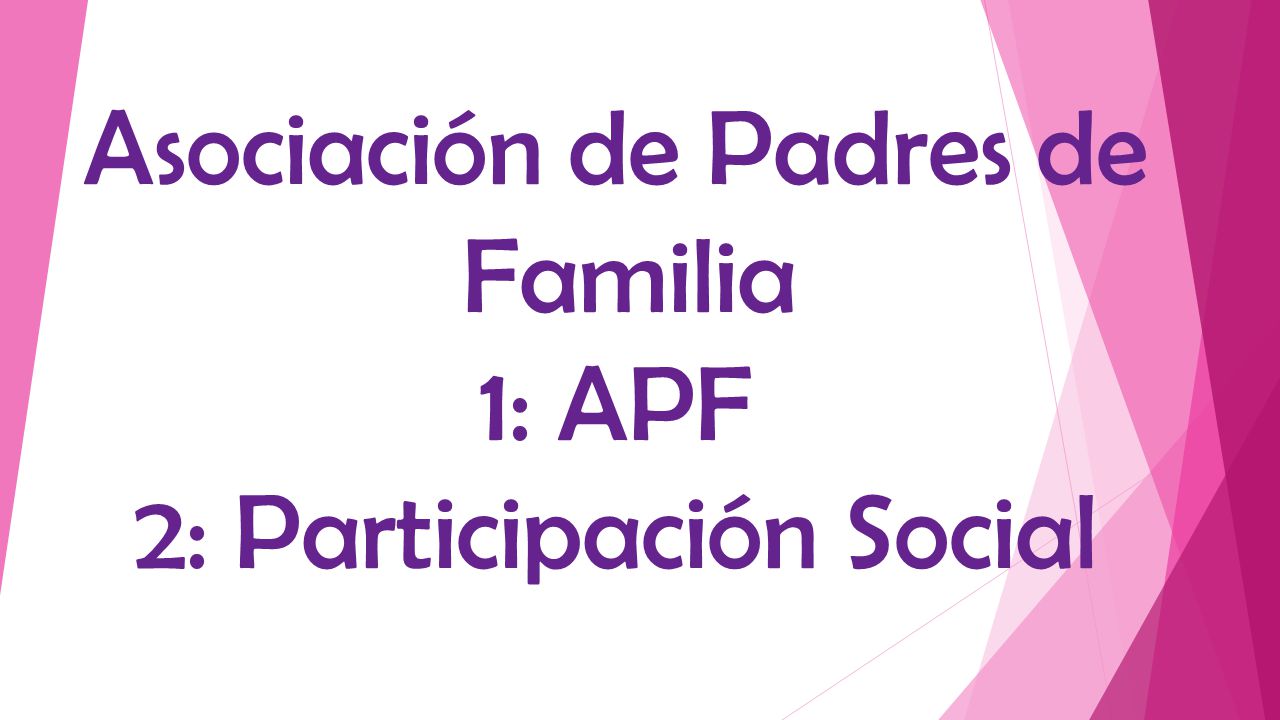 Asociación de Padres de Familia 1: APF 2: Participación Social