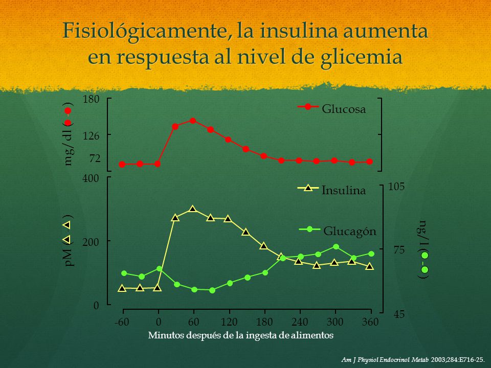 Fisiológicamente, la insulina aumenta en respuesta al nivel de glicemia