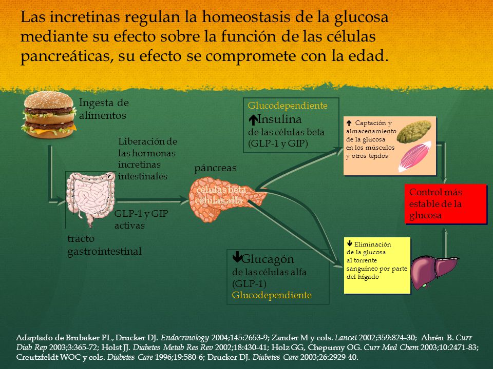 Las incretinas regulan la homeostasis de la glucosa mediante su efecto sobre la función de las células pancreáticas, su efecto se compromete con la edad.