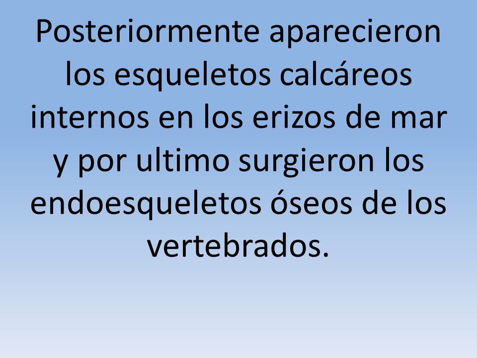 Posteriormente aparecieron los esqueletos calcáreos internos en los erizos de mar y por ultimo surgieron los endoesqueletos óseos de los vertebrados.
