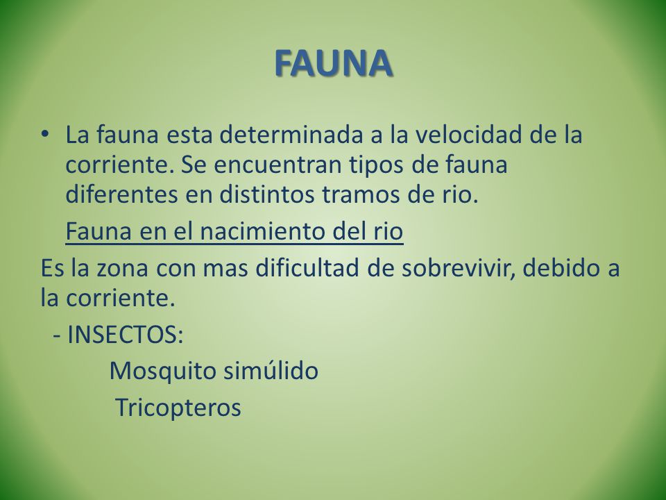 FAUNA La fauna esta determinada a la velocidad de la corriente. Se encuentran tipos de fauna diferentes en distintos tramos de rio.