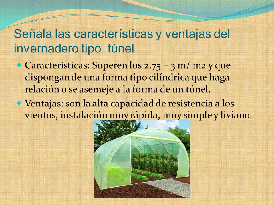 Señala las características y ventajas del invernadero tipo túnel