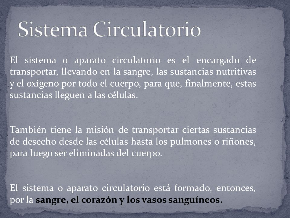 Sistema Circulatorio