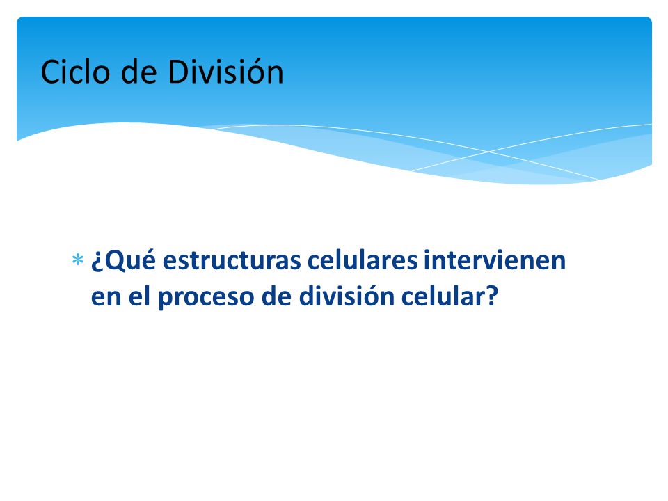 Ciclo de División ¿Qué estructuras celulares intervienen en el proceso de división celular