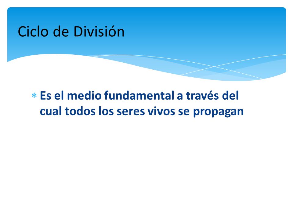 Ciclo de División Es el medio fundamental a través del cual todos los seres vivos se propagan