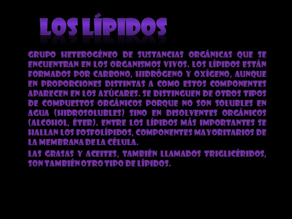 Los lípidos