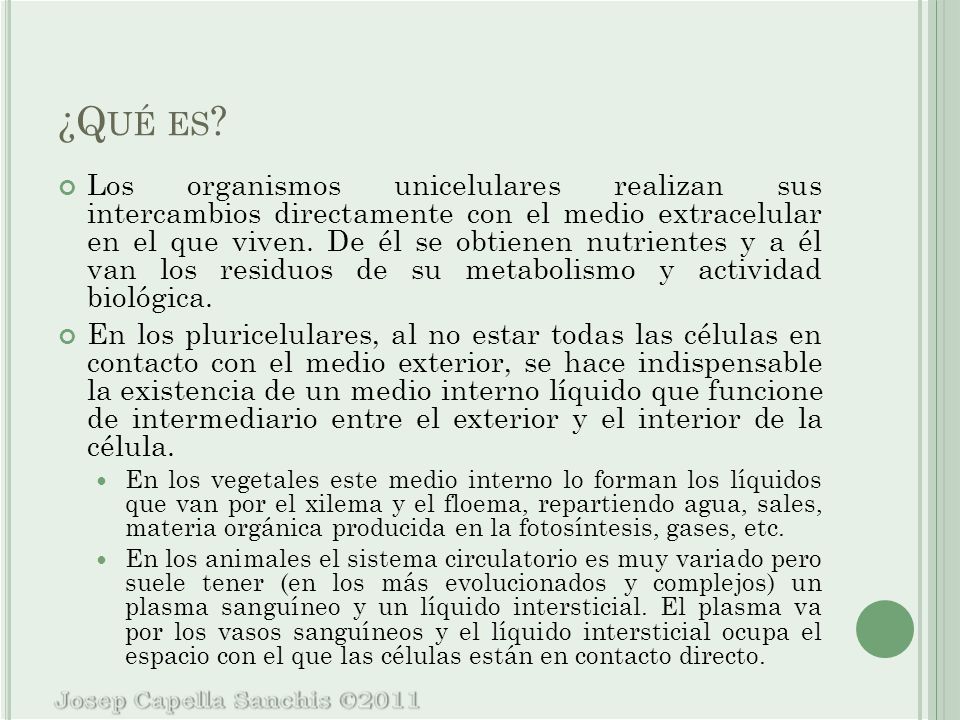¿Qué es