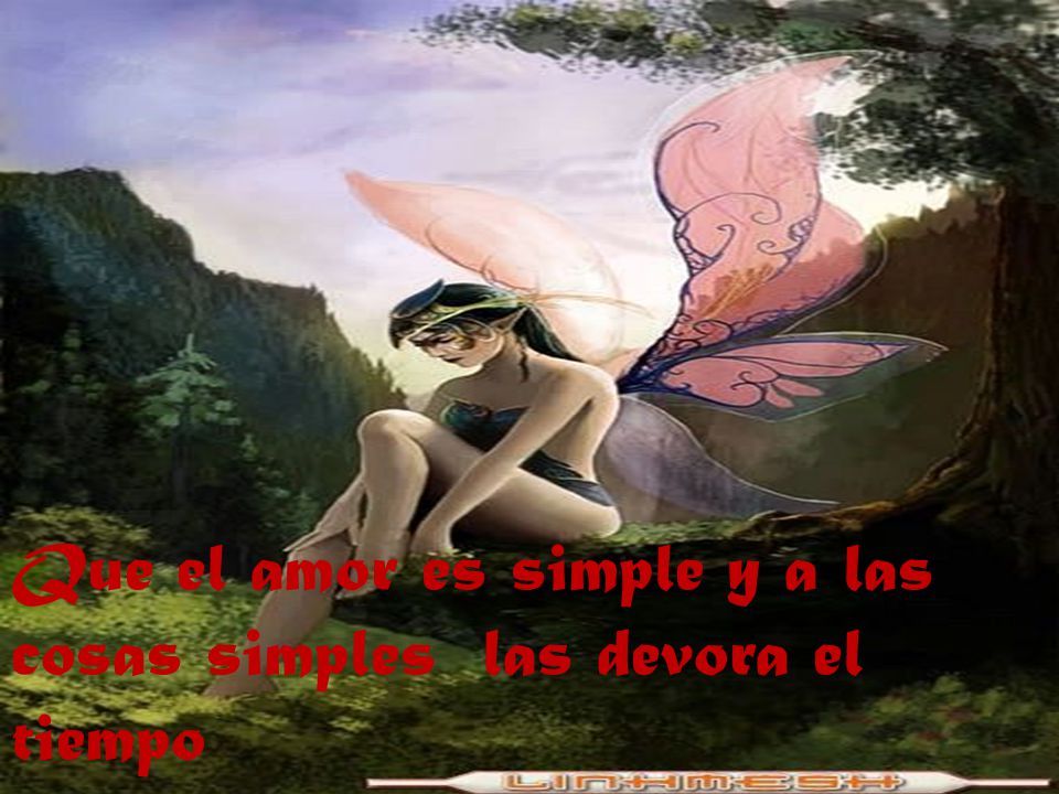 Que el amor es simple y a las cosas simples las devora el tiempo