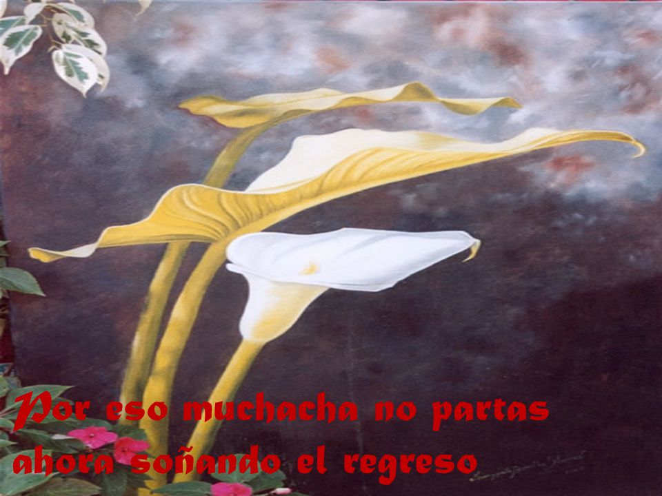 Por eso muchacha no partas ahora soñando el regreso
