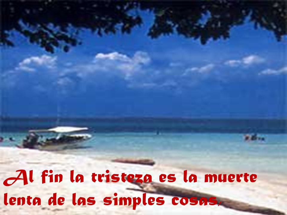 Al fin la tristeza es la muerte lenta de las simples cosas,