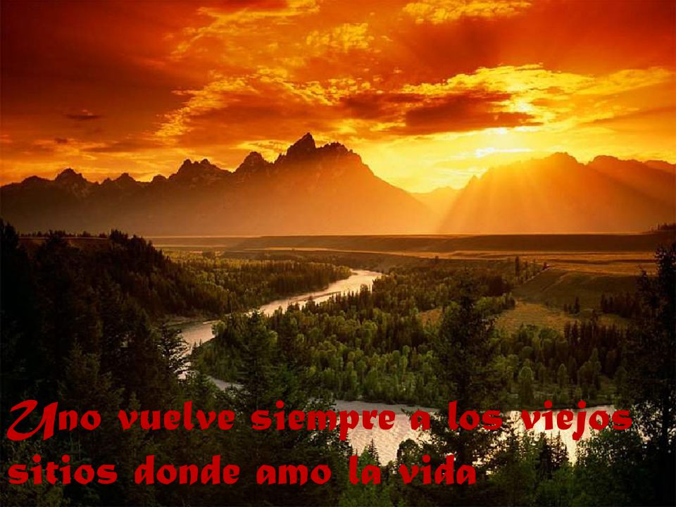 Uno vuelve siempre a los viejos sitios donde amo la vida