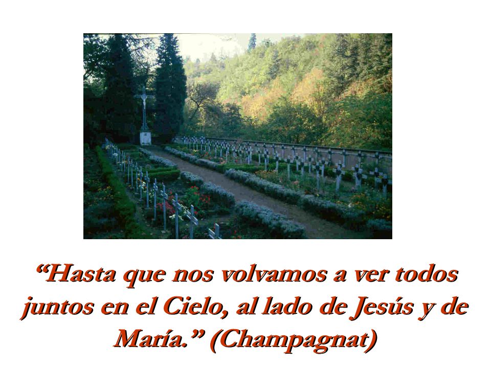 Hasta que nos volvamos a ver todos juntos en el Cielo, al lado de Jesús y de María. (Champagnat)